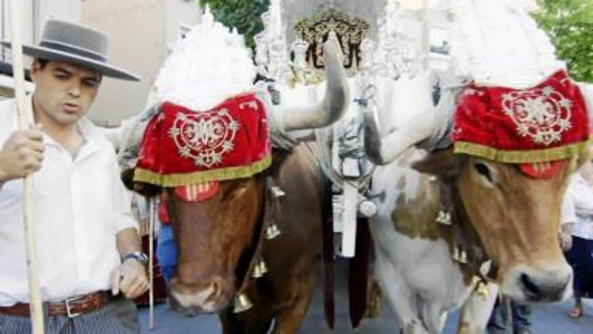 La hermandad de Sevilla Sur, del barrio del Tiro de Línea, es la primera de la capital en iniciar el camino del Rocío