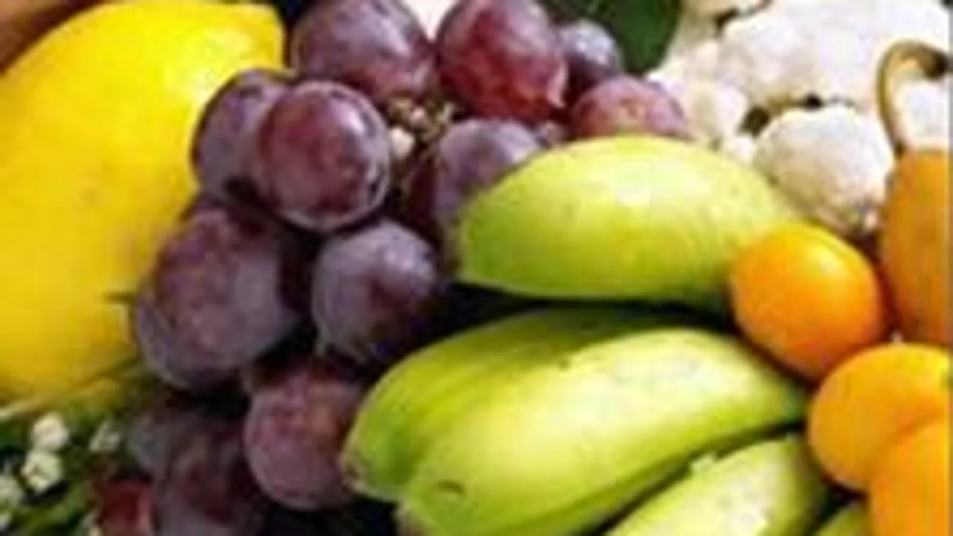 Sanitat realizará la primera encuesta de nutrición de la comunitat