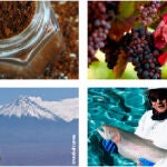Chile y su patrimonio alimentario: historias y sabores