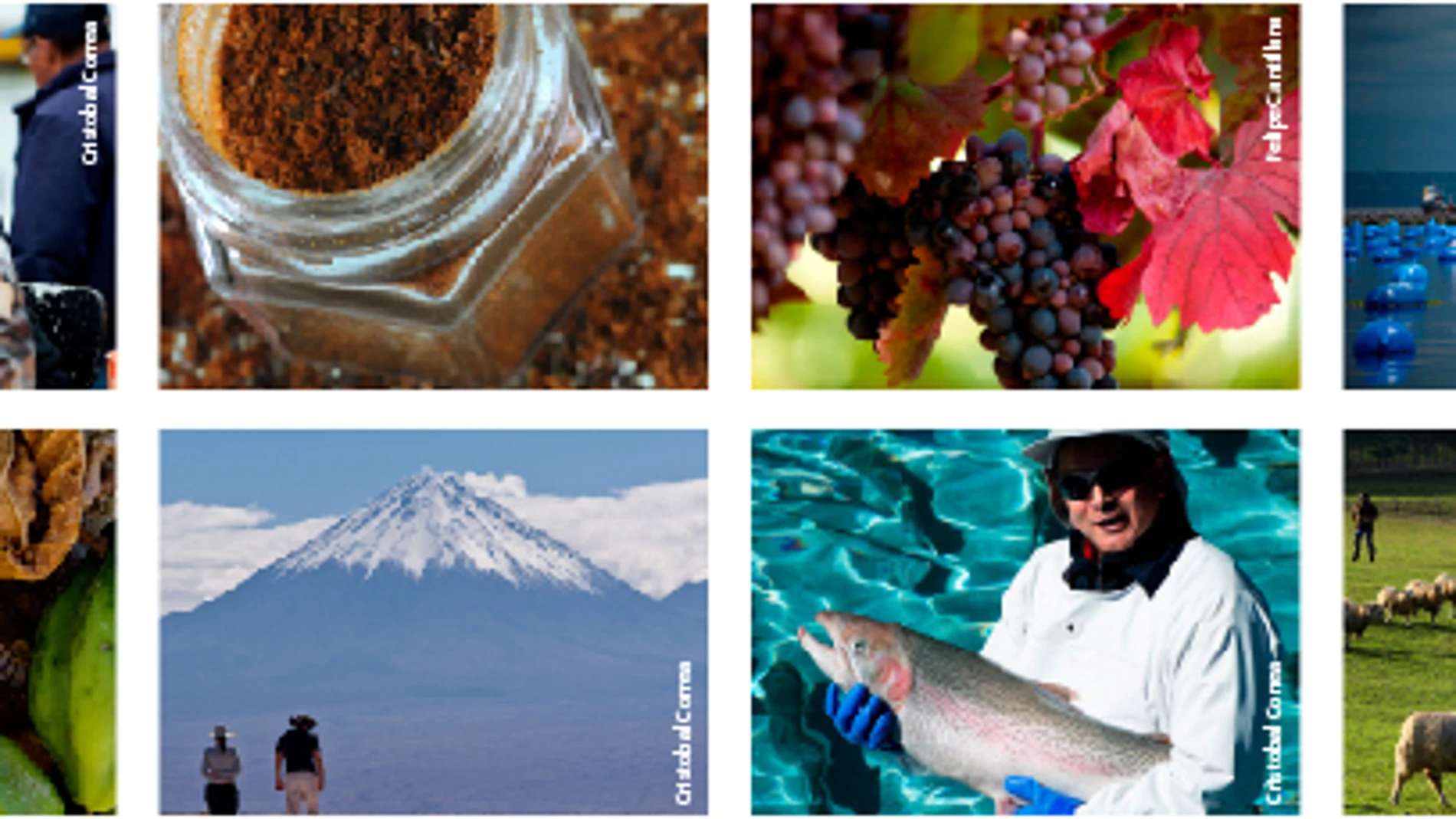 Chile y su patrimonio alimentario: historias y sabores