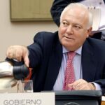 El ministro de Asuntos Exteriores y de Cooperación, Miguel Ángel Moratinos