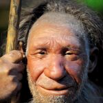 Maniquí de Neandertal anciano