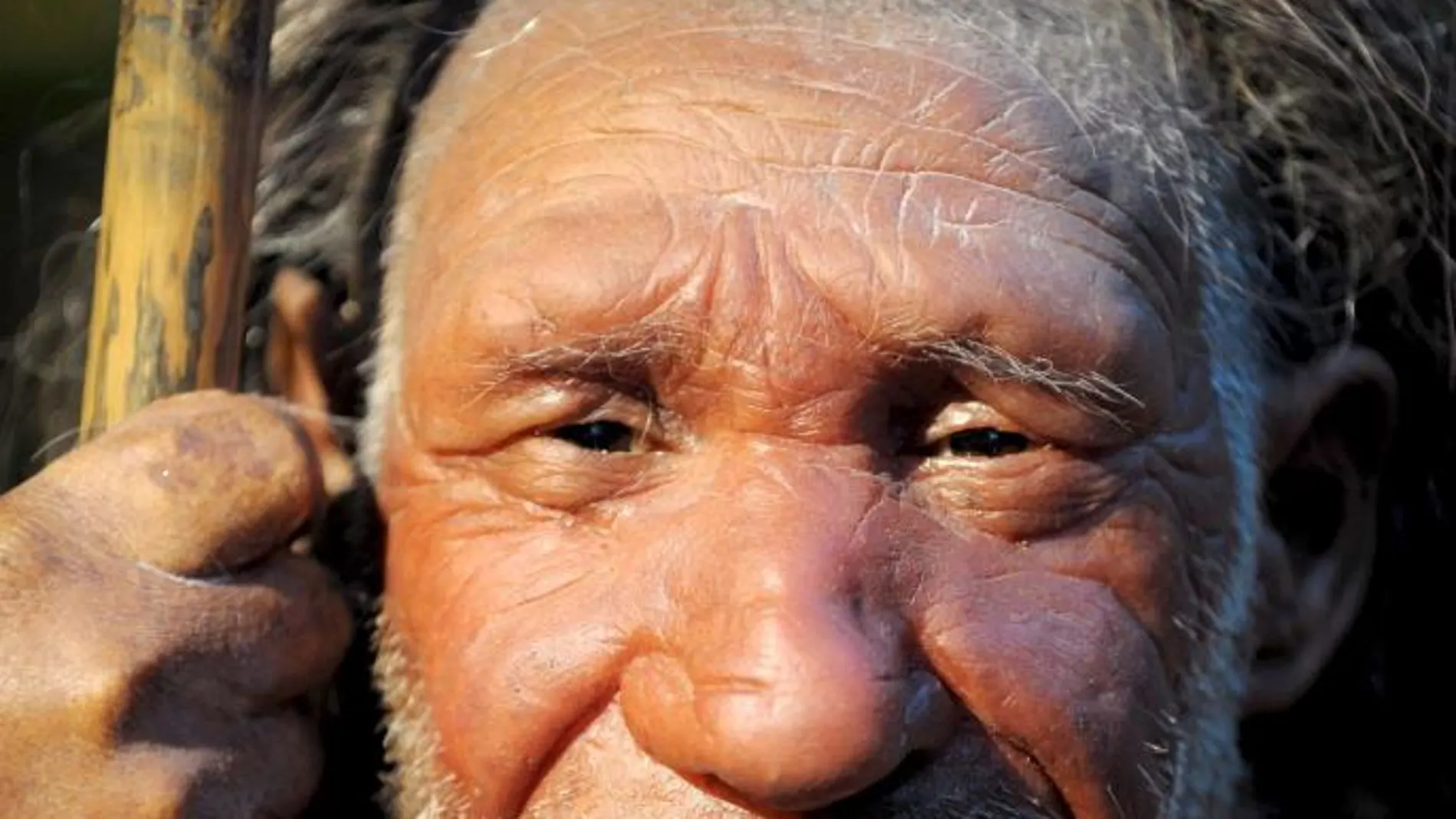 Maniquí de Neandertal anciano