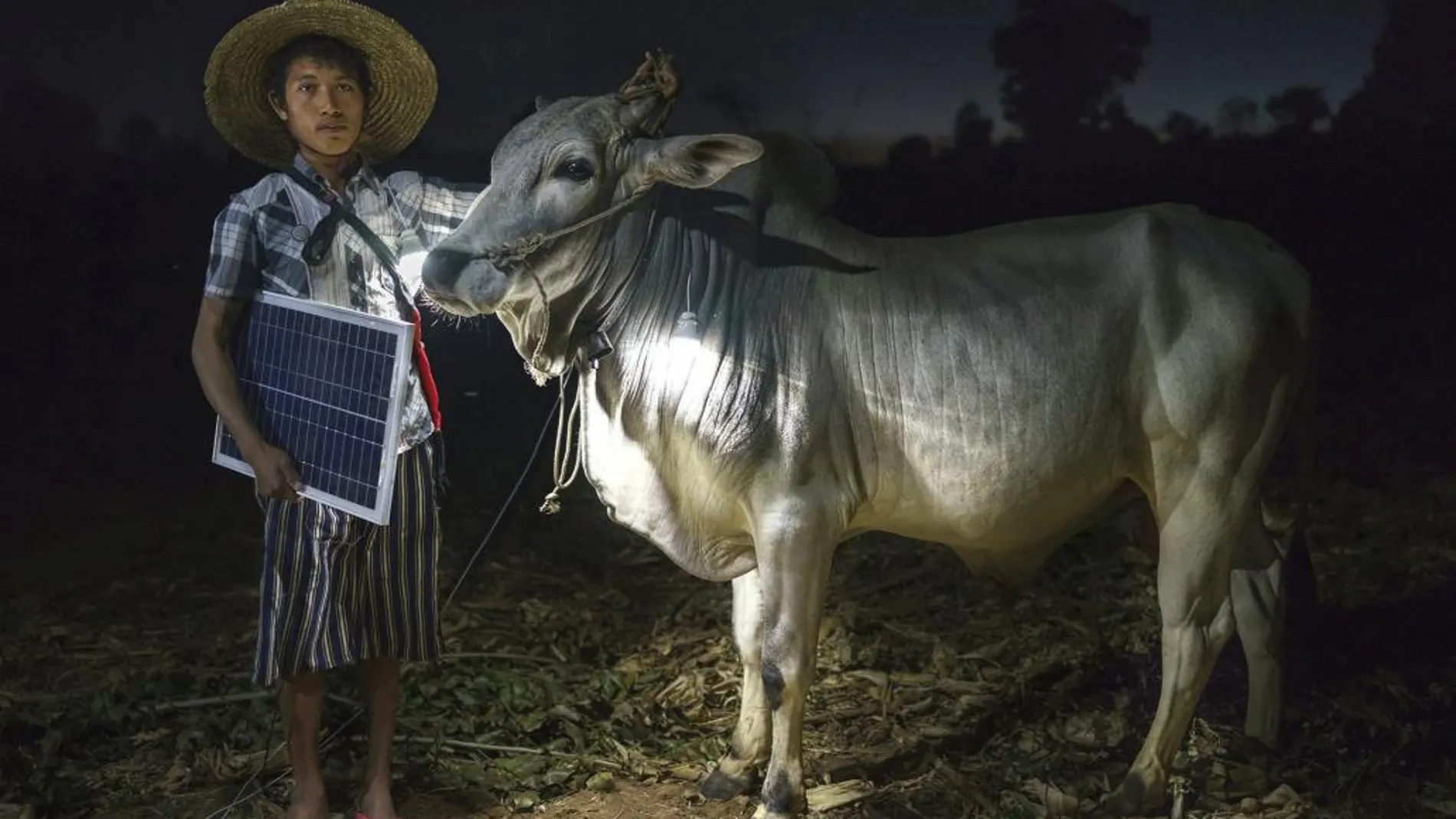 Fotografía de la serie "Solar Portraits in Myanmar", del fotoperiodista español Rubén Salgado Escudero, instantáneas sobre la ausencia de electricidad en ese país con las que ha recibido el premio Sony World Photography en la categoría de retratos.