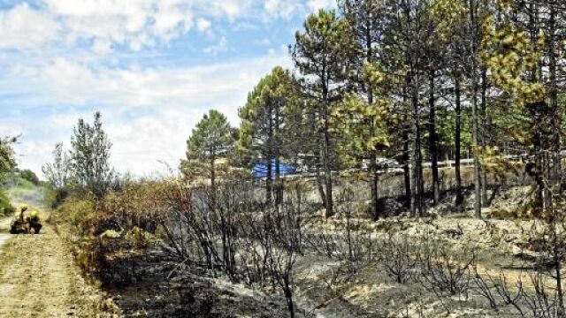 La cortina de humo originada por el incendio de Rodrigatos de la Obispalia obligó al corte de la A-6 en sentido Madrid