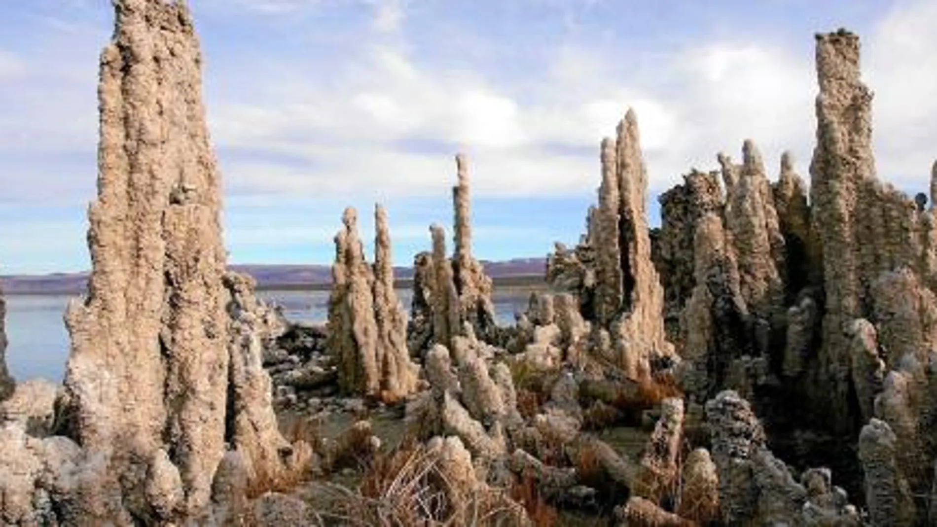 Paisaje extraterrestre: zona del Lago Mono donde fue hallada la bacteria, de actividad inédita