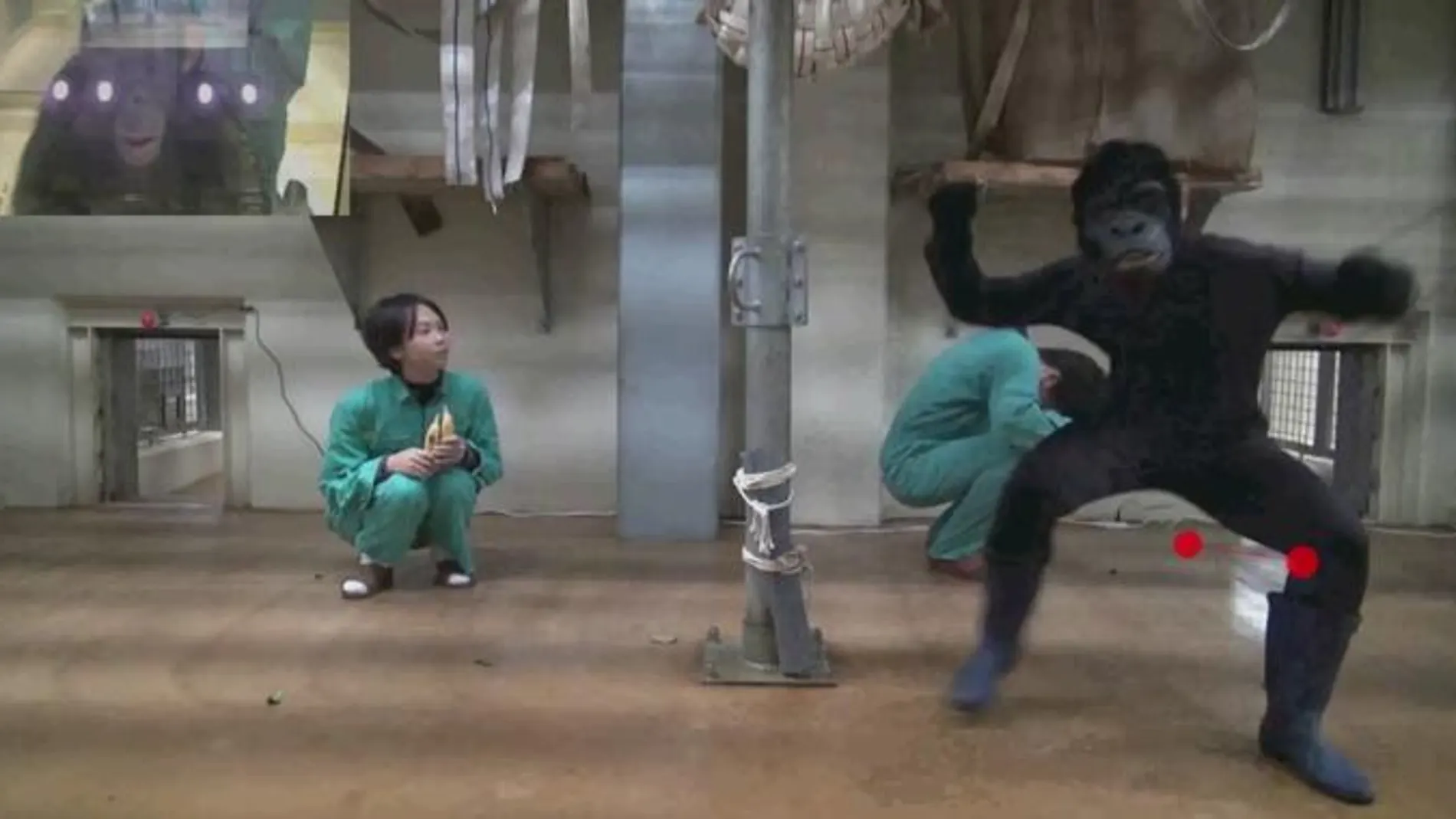 Captura de uno de los vídeos experimentales en los que se muestra el movimiento ocular de los simios cuando miran una película. En la escena aparece una persona agresiva disfrazada de simio
