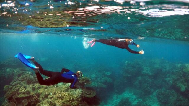 Submarinistas junto a corales, en una imagen de archivo