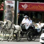 Una sucursal de Cajasur/Efe
