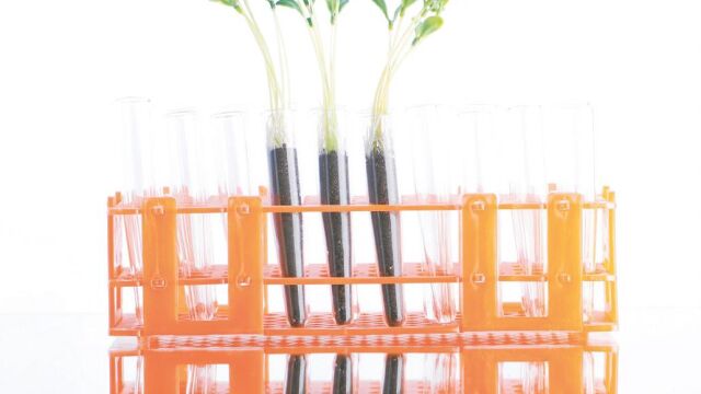 CRISPR, la patente de los 50.000 millones de euros