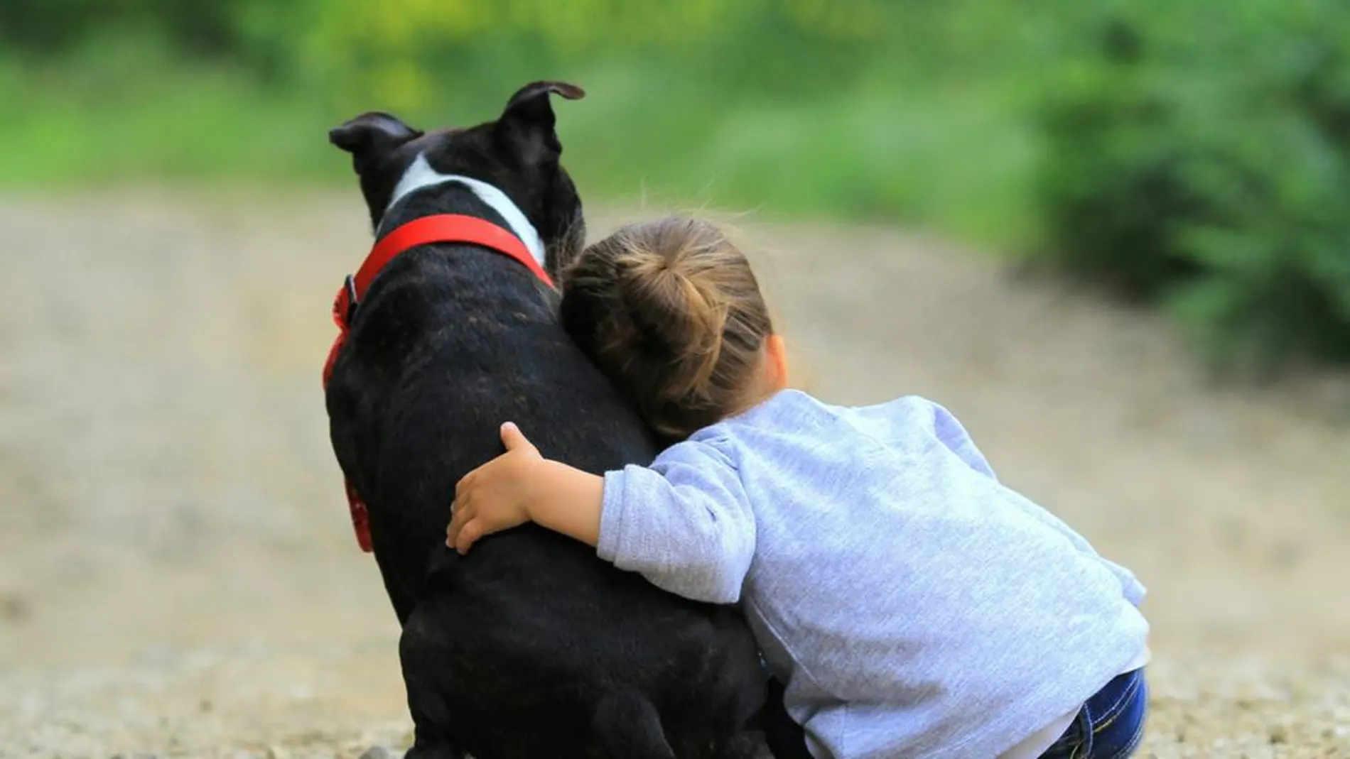 Los numerosos beneficios para los niños de tener perro