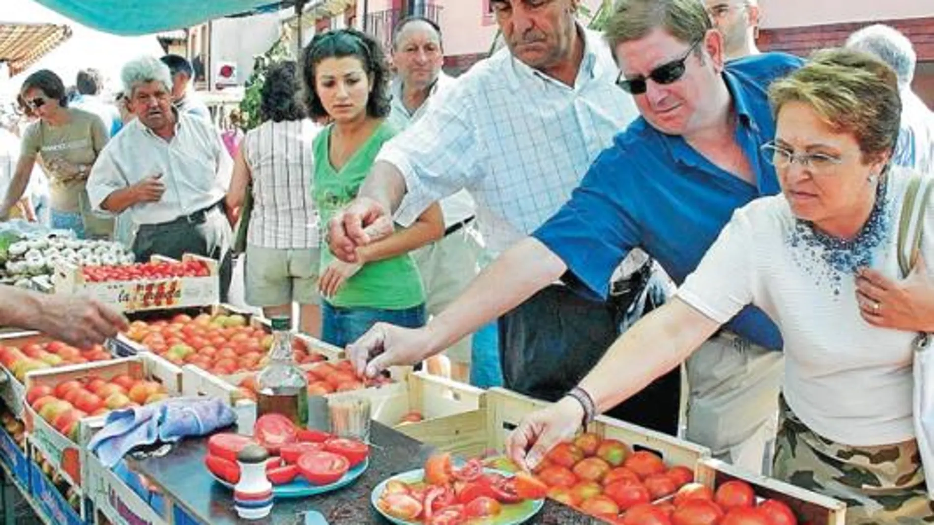 Dos empresas implantan un sistema para la producción del tomate