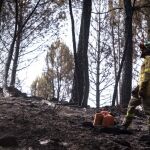 Un bombero forestal del Infoca mientras realizaba labores de extinción en el incendio de un paraje de Almonaster la Real / Efe