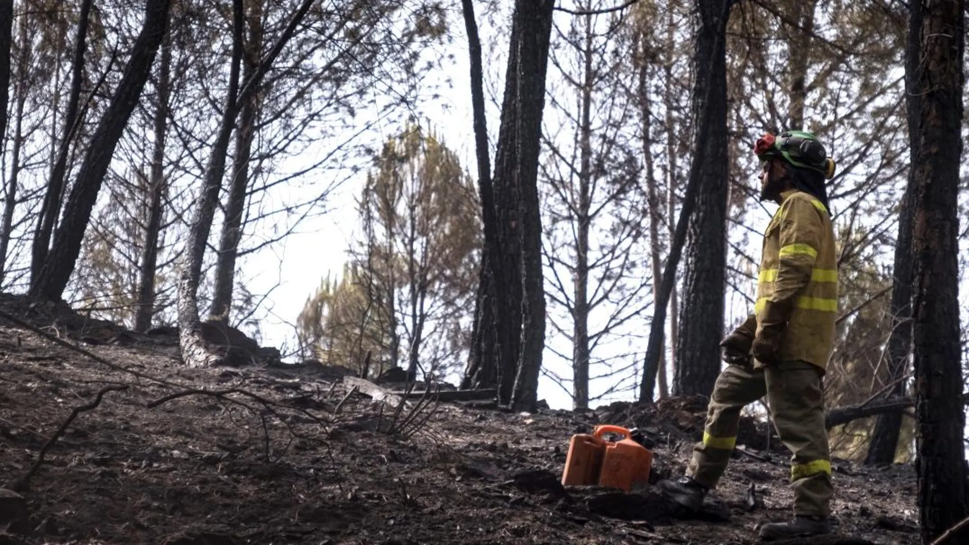 Un bombero forestal del Infoca mientras realizaba labores de extinción en el incendio de un paraje de Almonaster la Real / Efe