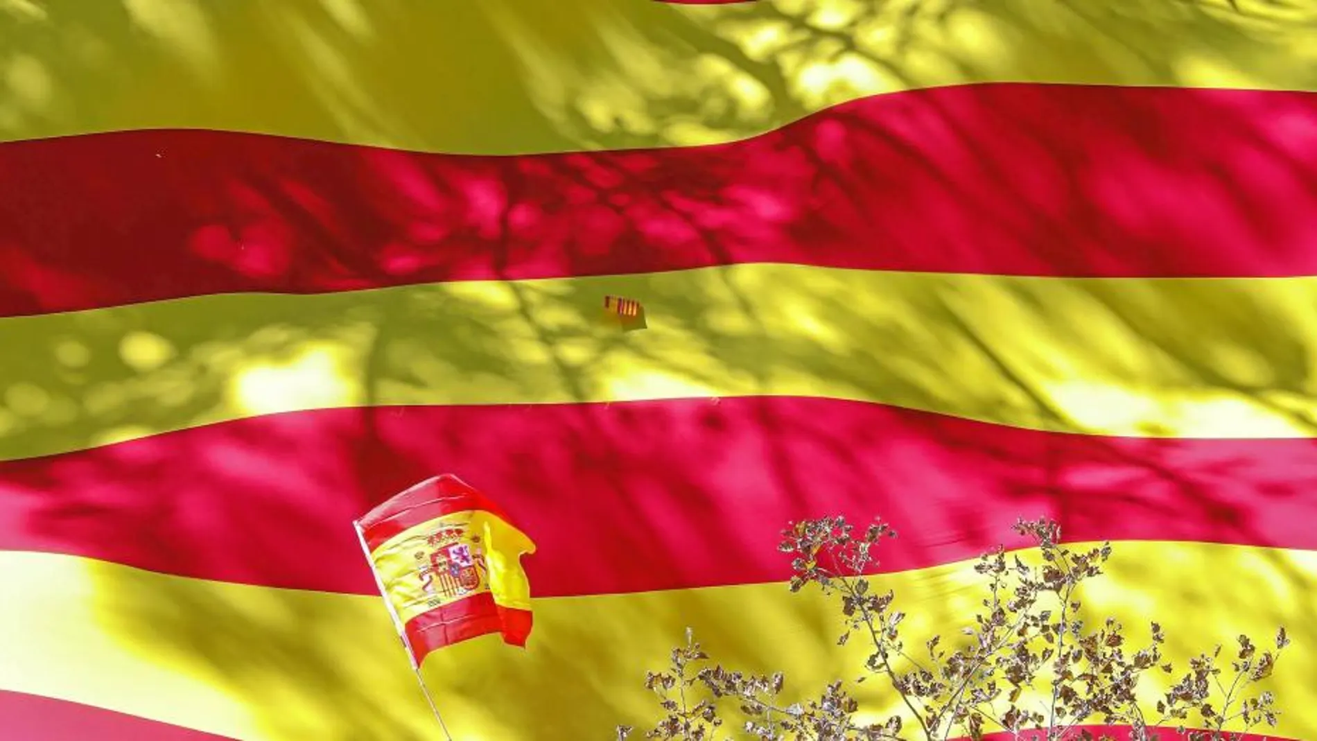 Una gran bandera catalana presidió la manifestación del pasado domingo en defensa de la Constitución en Barcelona