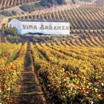 Vista panorámica del viñedo de la finca Viña Ardanza