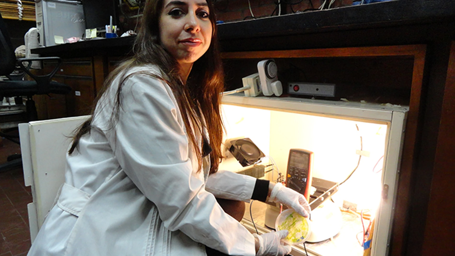 La autora principal del estudio, la doctora en Ciencias Biológicas Ximena Abrevaya