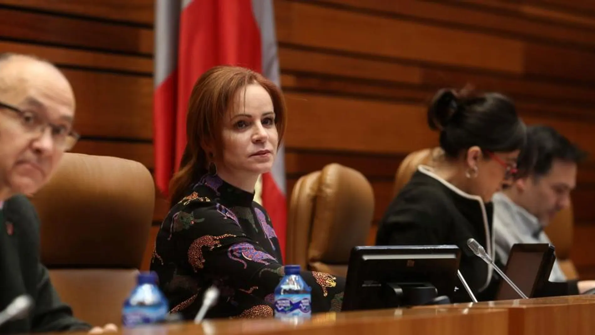 Silvia Clemente preside el Pleno de las Cortes de ayer, en compañía de los vicepresidentes Ruiz Medrano (PP) y Ana Sánchez (PSOE) y del procurador de Podemos, Carlos Chávez