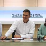 El secretario general del PSOE, Pedro Sánchez (c); la presidenta, Micaela Navarro, y el secretario de Organización del PSOE, César Luena, durante el Consejo de Político Federal del partido.