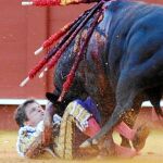 El Juli, en el suelo, tras ser herido