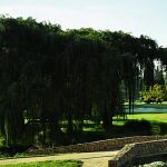 Open de Sudáfrica