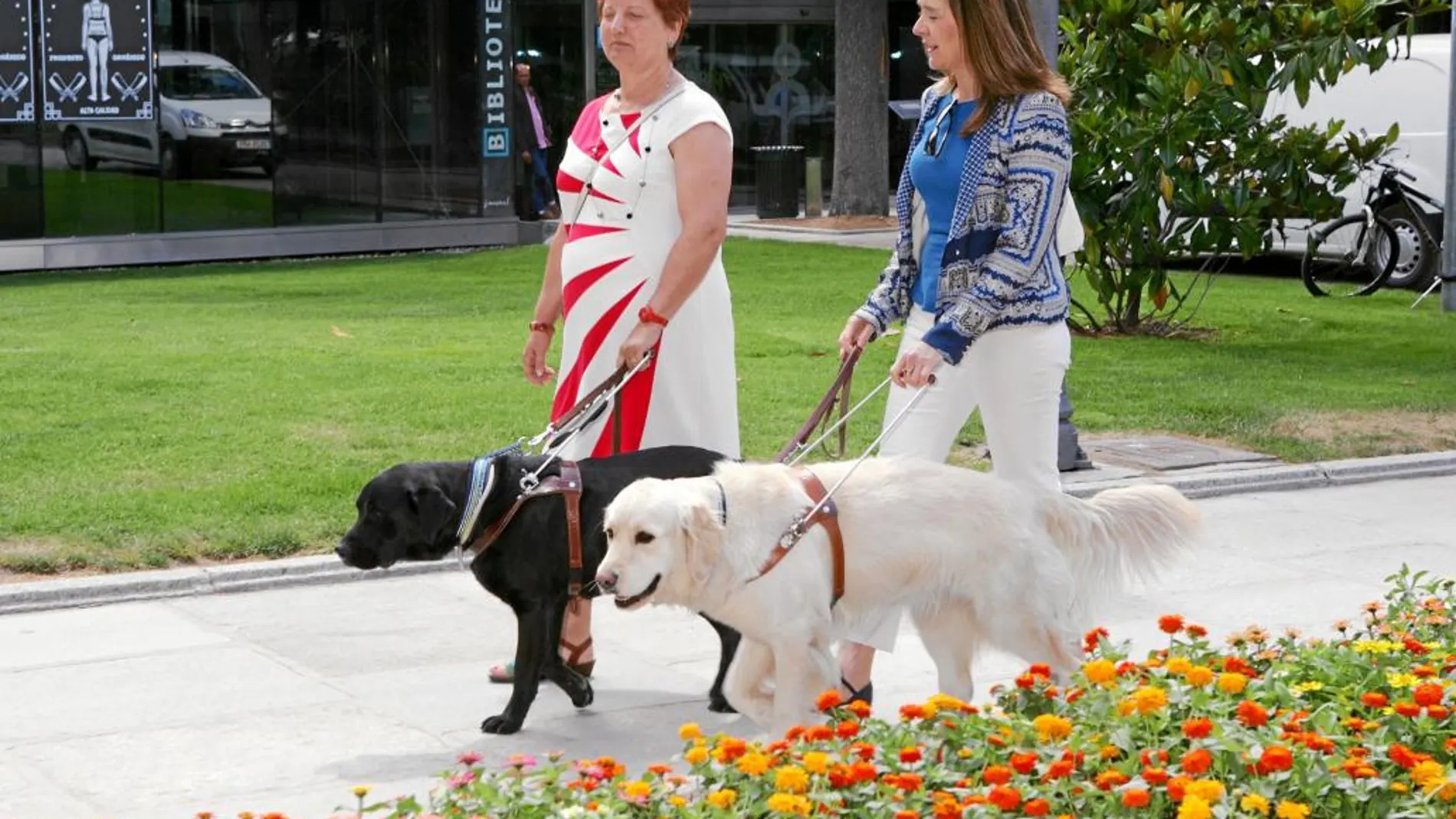 Dos usuarias pasean junto a sus perros guía a las puertas de la exposición en el parque de El Retiro