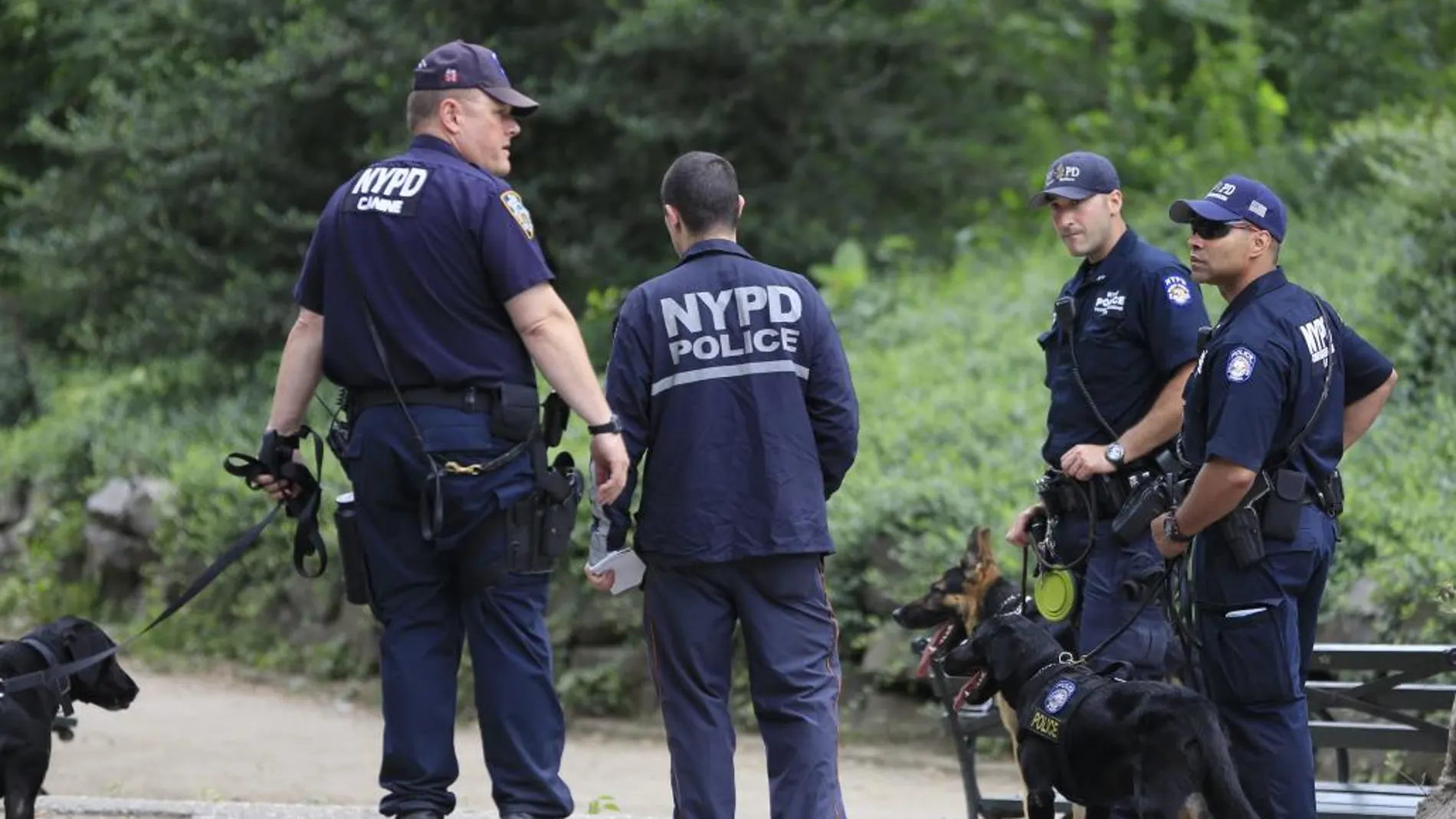 Un herido por una explosión en el principal parque de Nueva York