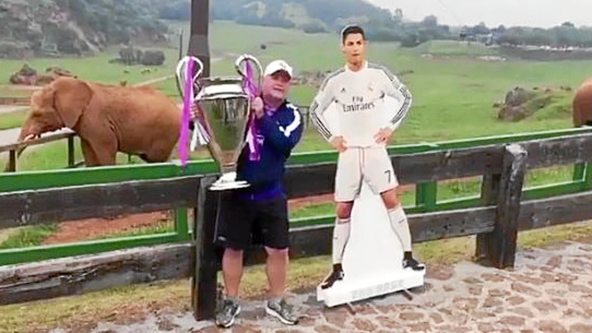 Al séptimo día no descansó, pero levantó la Orejona. Y al lado de Cristiano, o al menos una figura de cartón del luso. En pleno reto en su «Duro Camino a Cardiff», (que se ha hecho viral en redes sociales), el tertuliano de «El Chiringuito» colgó un divertido vídeo desde el Parque de Naturaleza de Cabárceno (Cantabria) con varios elefantes como testigos