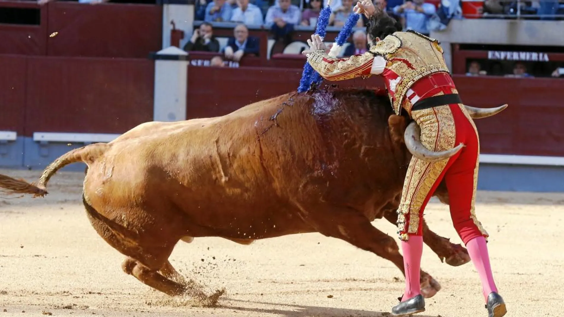 Cogida a Juan José Padilla mientras banderilleaba a su primer toro