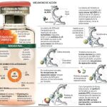 Las claves de Yondelis (trabectedina)
