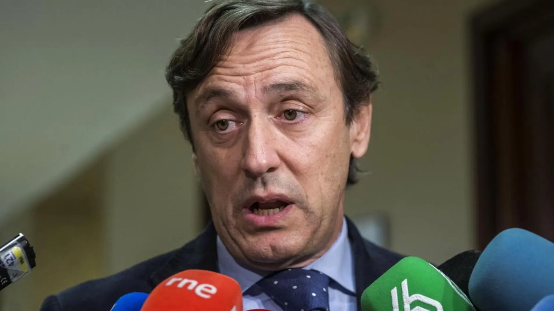 El portavoz del PP en el Congreso, Rafael Hernando.