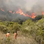  El incendio forestal de Carcaixent, en Valencia, obliga a desalojar un hospital y una urbanización