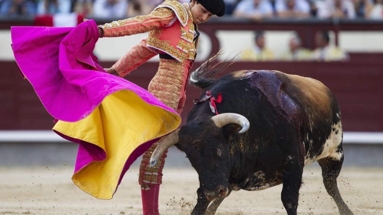 Roca Rey, triunfo y cornada de 18 centímetros