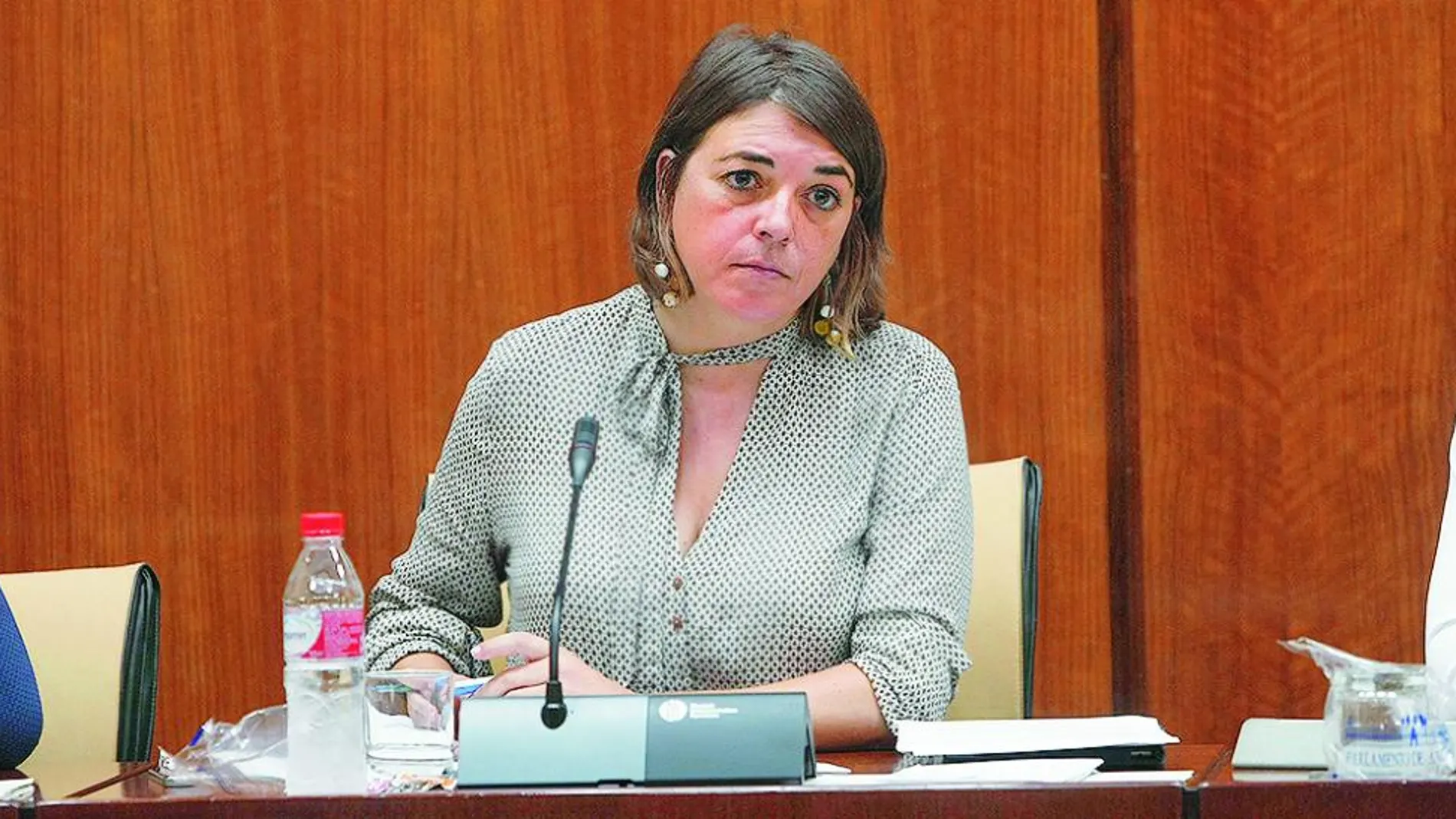 La ex consejera de la Junta de IU, Elena Cortés