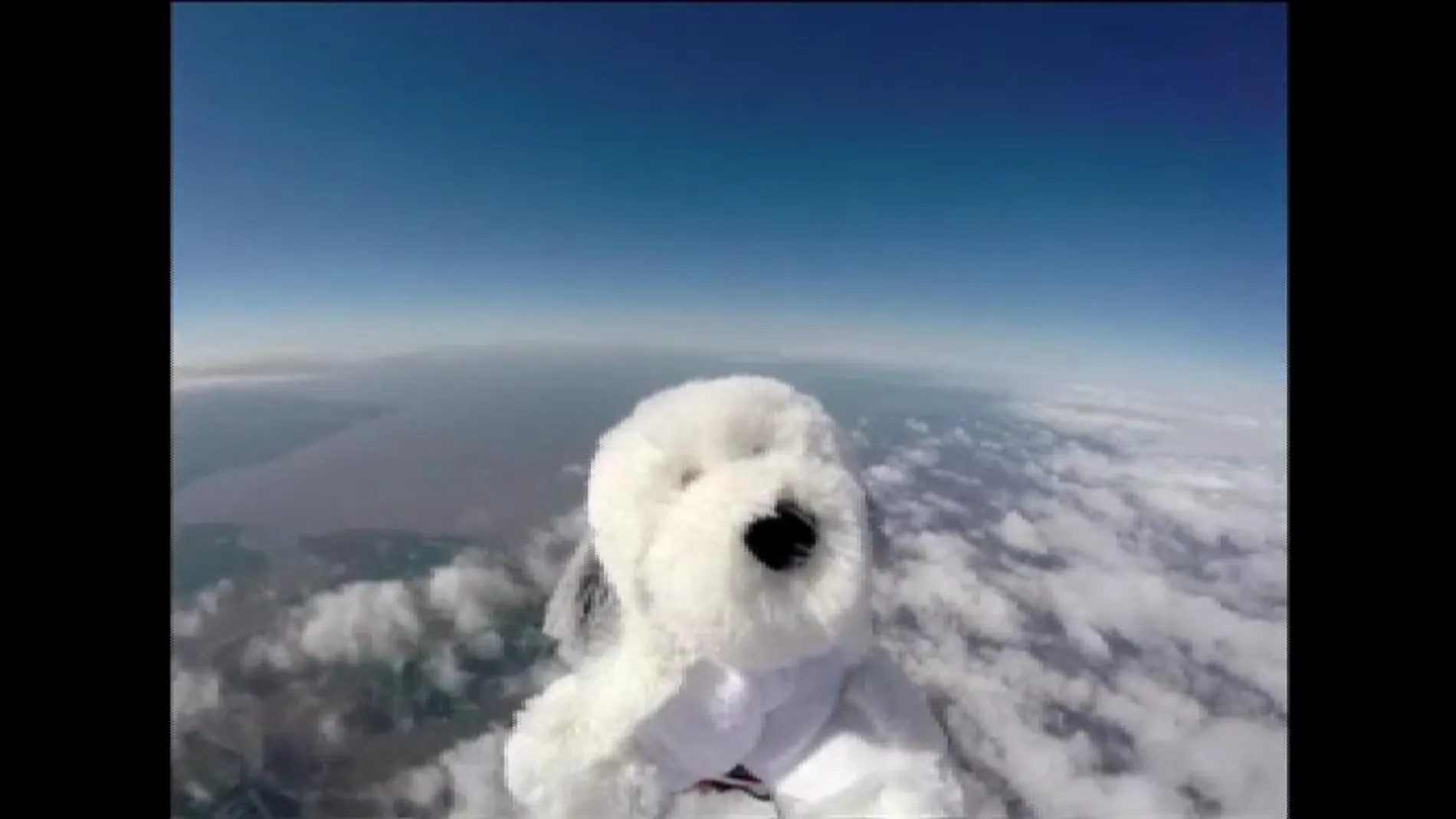 Se busca perro de peluche perdido en el espacio