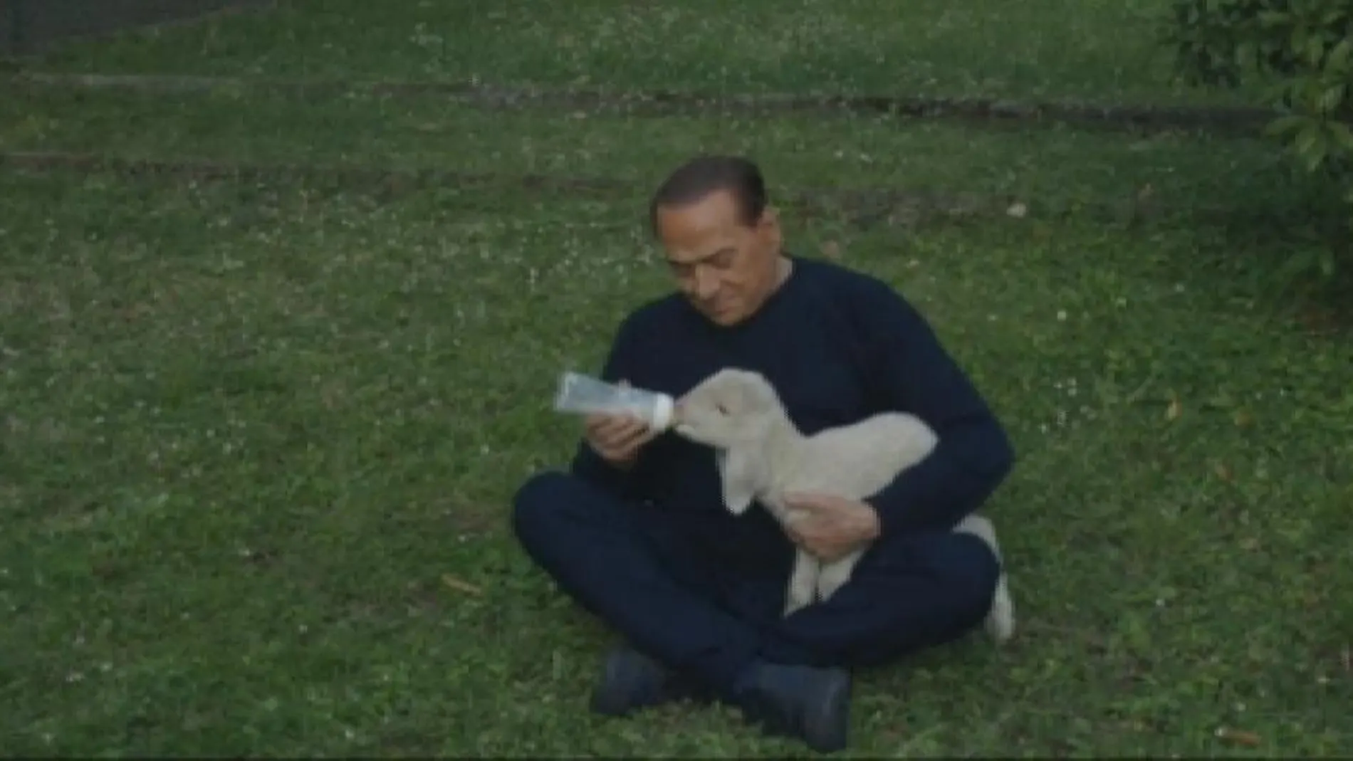 Berlusconi apadrina a cinco corderos y pide que no se coman en Pascua