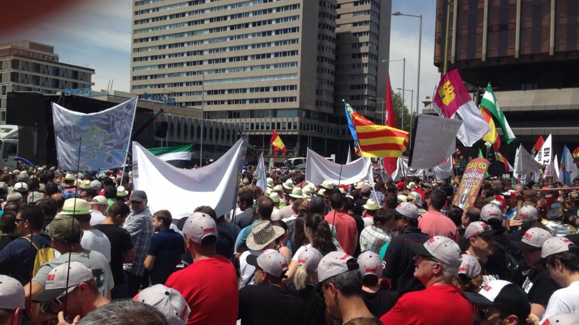 Concentración este mediodía en la madrileña plaza de Colón