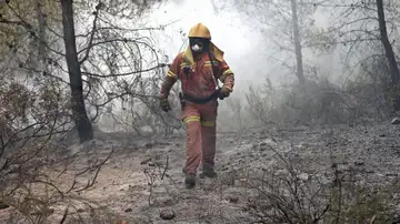Un brigadista forestal trabaja en un incendio en la Comunidad