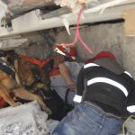 Grupos de rescate buscan con perros a víctimas atrapadas entre los escombros tras un terremoto