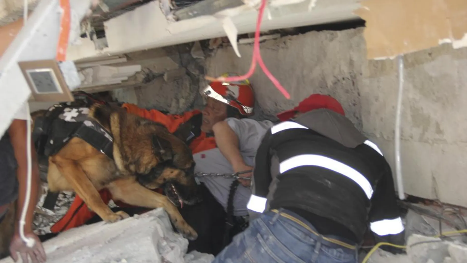 Grupos de rescate buscan con perros a víctimas atrapadas entre los escombros del colegio