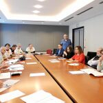 Un instante de la reunión de ayer en Bruselas con europarlamentarios españoles