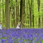 Dos niñas juegan en un bosque de Inglaterra, en una imagen de archivo