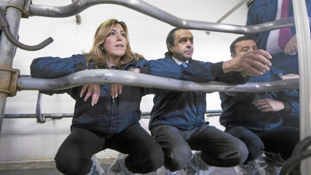 La presidenta de la Junta de Andalucía, Susana Díaz, ayer en la visita a una empresa cooperativa en Pozoblanco