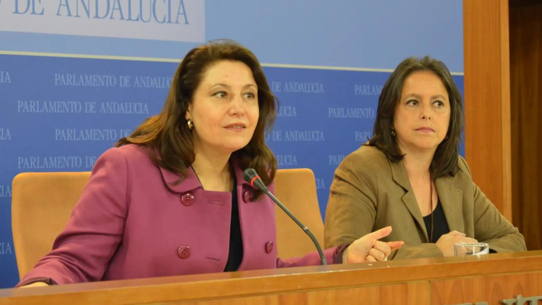 La portavoz popular en el Parlamento, Carmen Crespo, junto a la diputada Catalina García