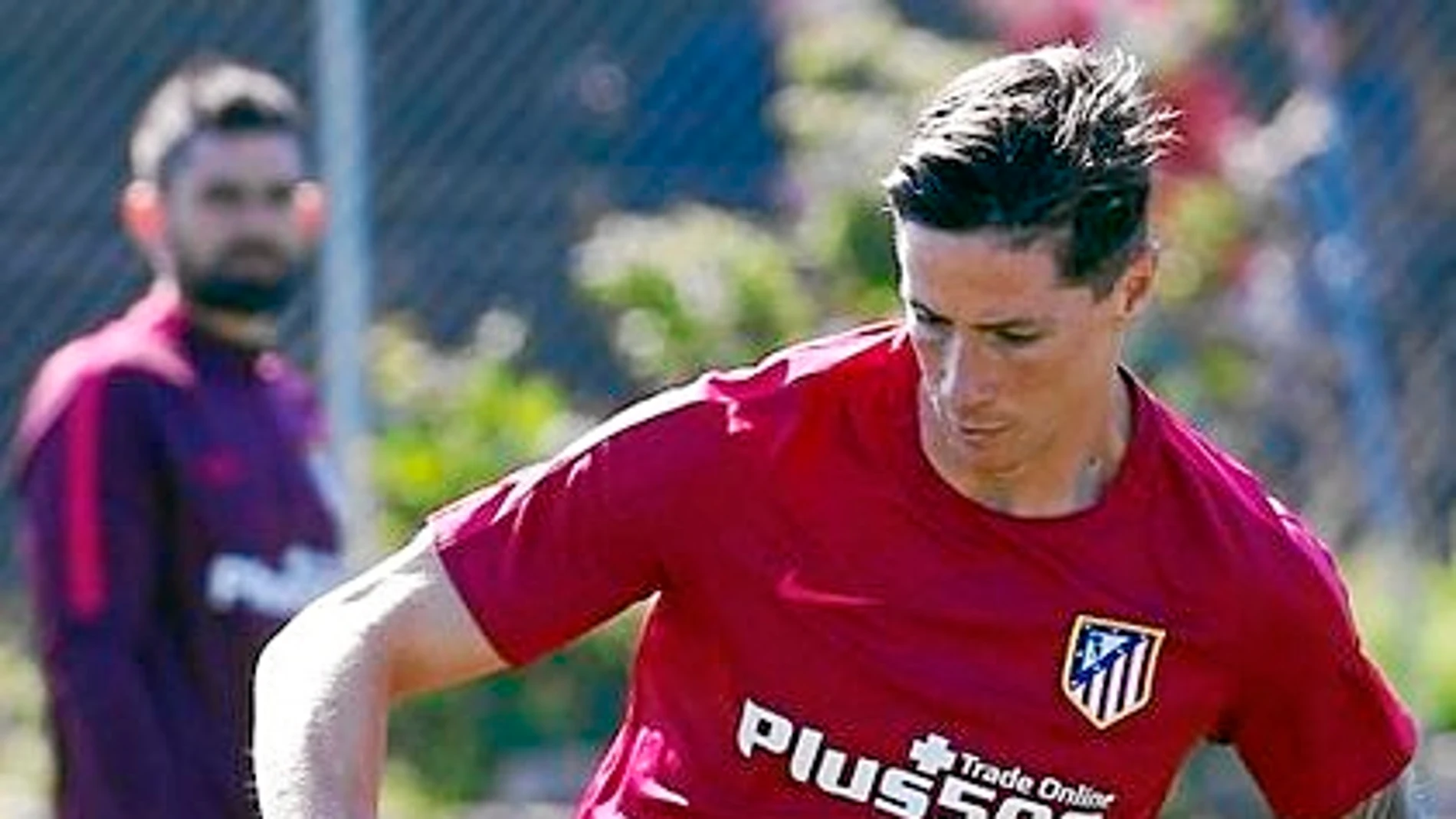 Fernando Torres