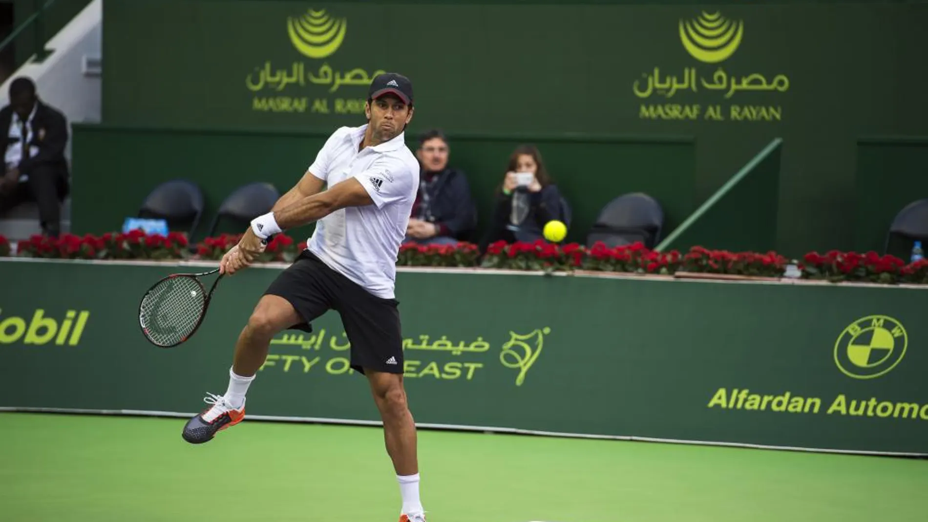 El tenista español Fernando Verdasco