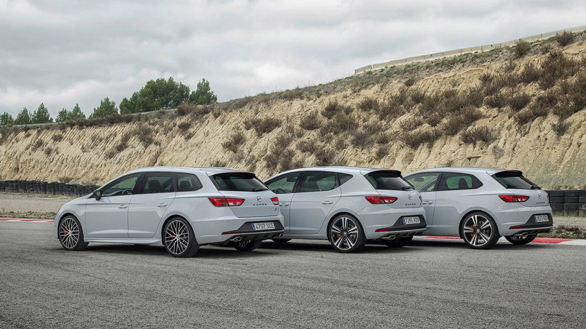 Actualmente Seat ofrece el León Cupra 290.