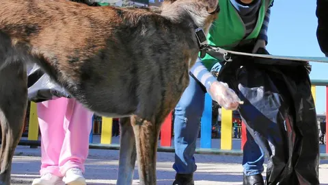 El domingo Carmena colaboró en una batida de limpieza vecinal en San Blas