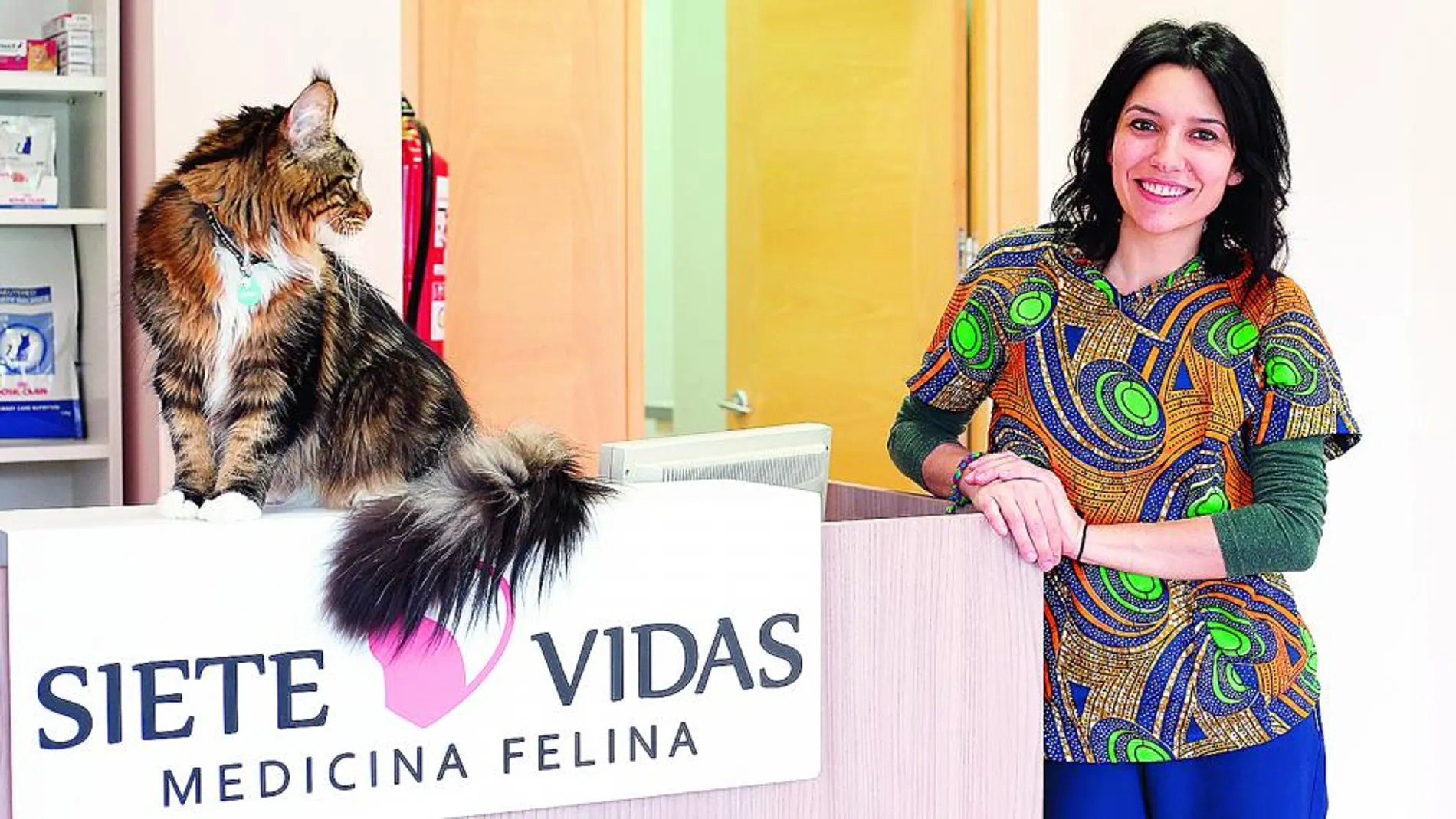 Abre en Valladolid el primer centro veterinario exclusivo para gatos de Castilla y León