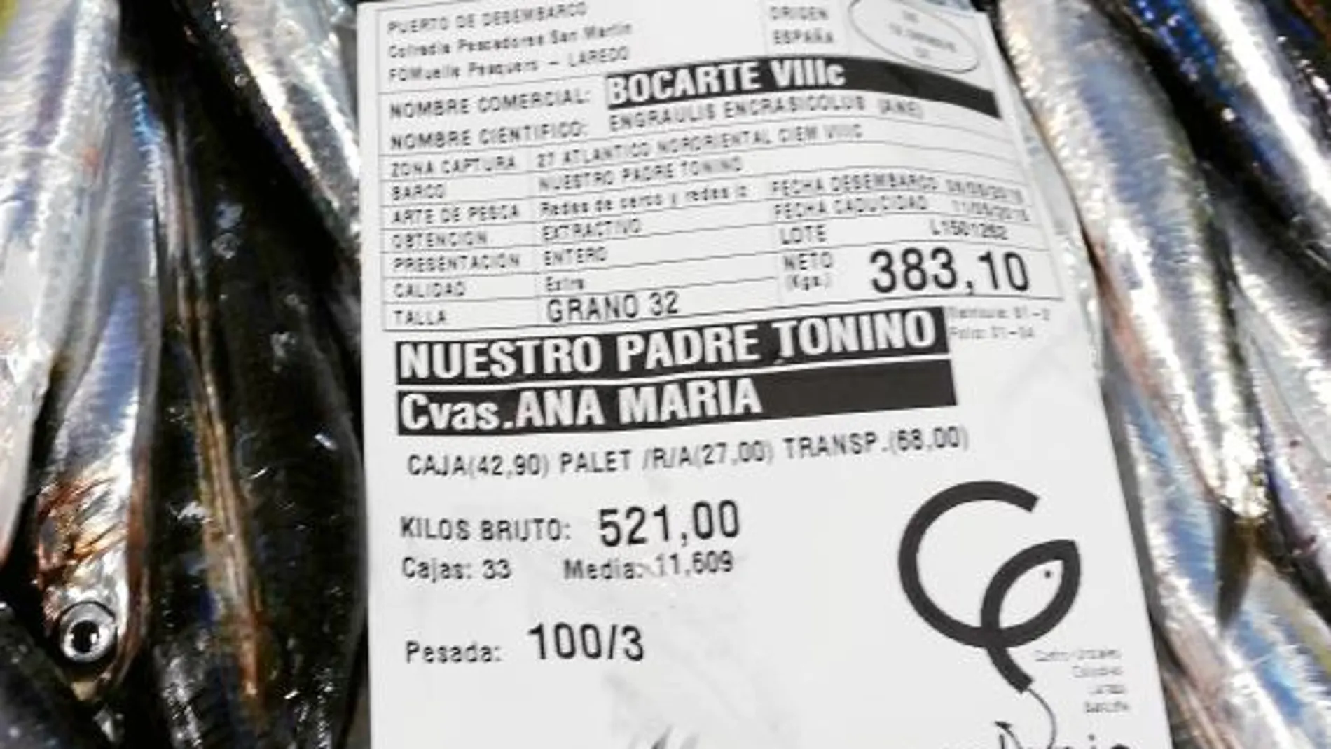 Las anchoas ganadoras